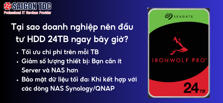 IronWolf Pro 24TB Có xứng đáng đầu tư?